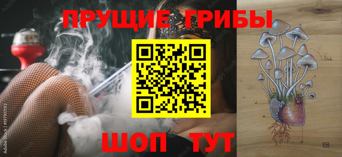 Галлюциногенные грибы мицелий Губаха