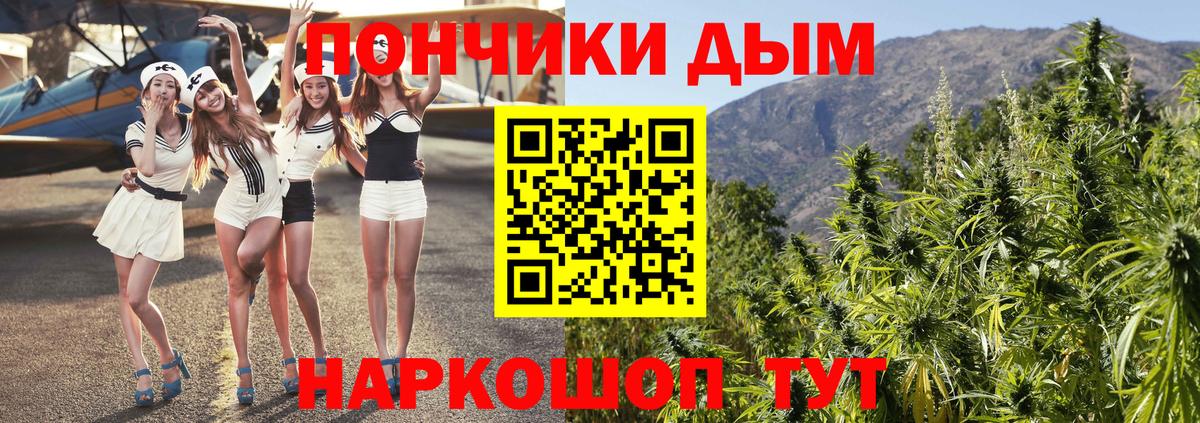 Каннабис SATIVA & INDICA Губаха